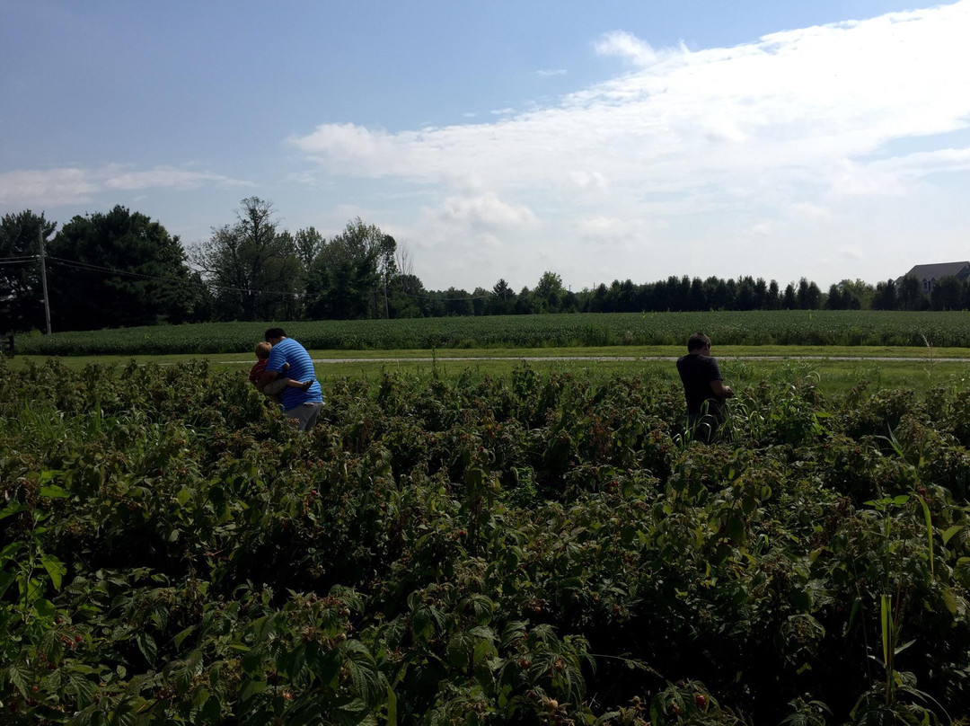 Berryhill Farm-Xenia必去景点