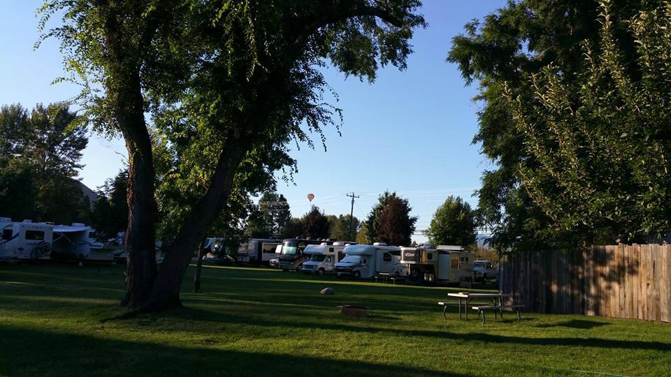 Pine Near RV Park, Campground, Cabins & Tipis