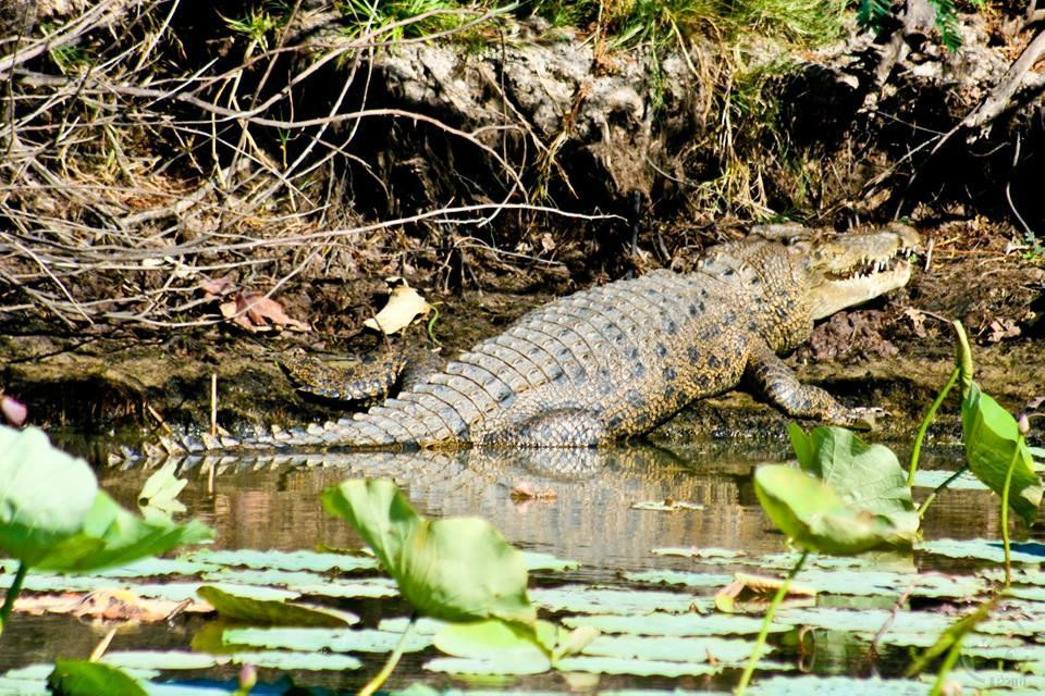 Corroboree Houseboats-Marrakai必去景点