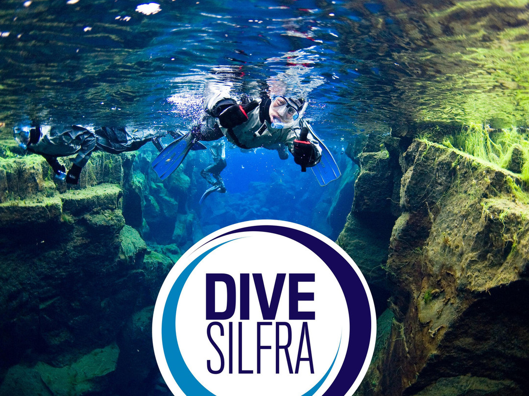 北极探险之旅-雷克雅未克必去景点