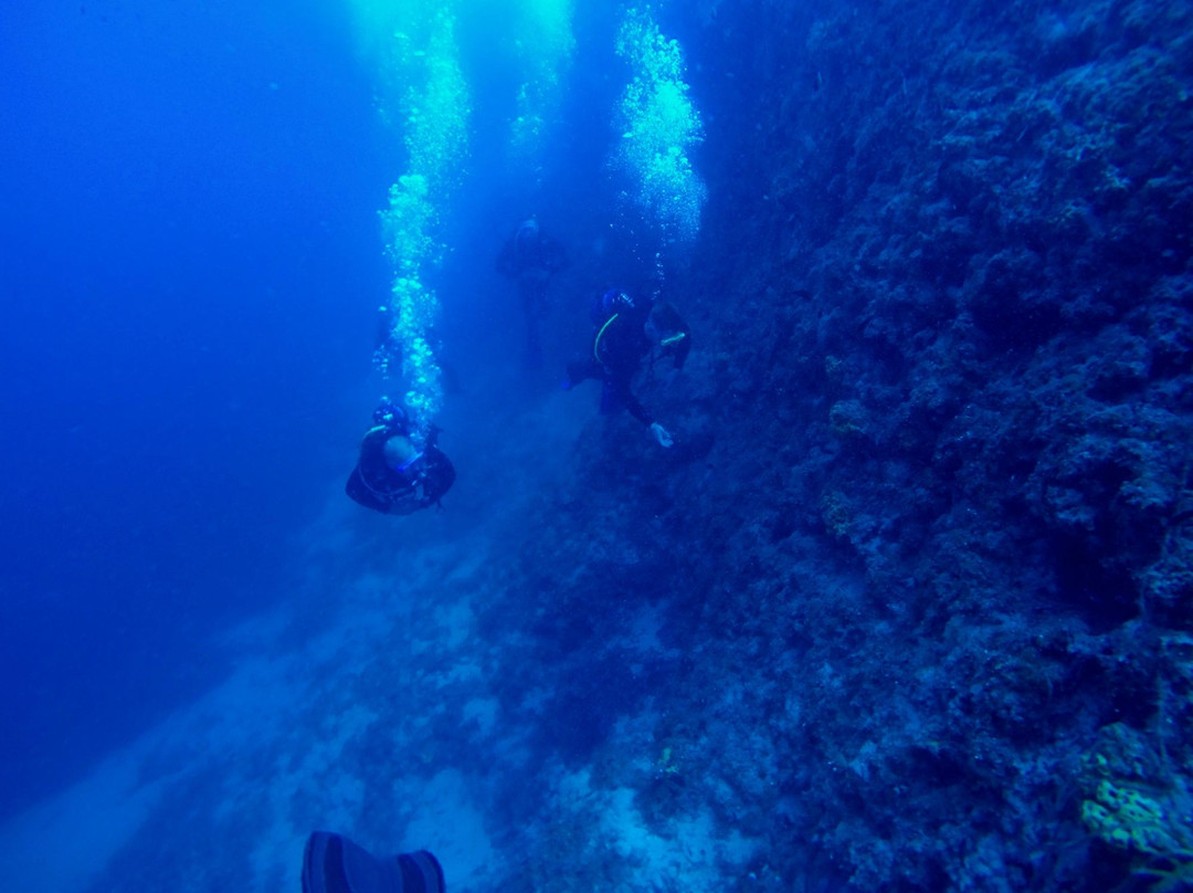 Ocean Diving Center-Neos Marmaras必去景点