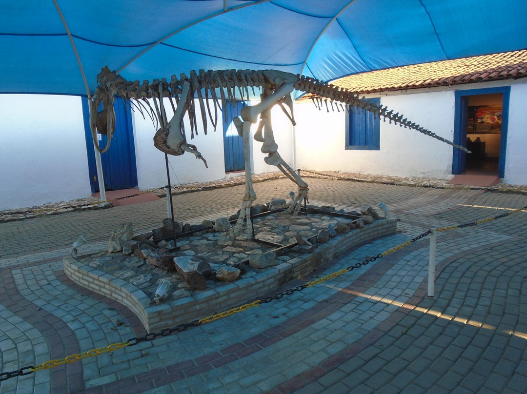 Museu de História Natural De Mato Grosso景点图片
