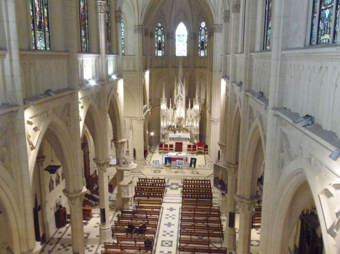 Iglesia San Patricio景点图片