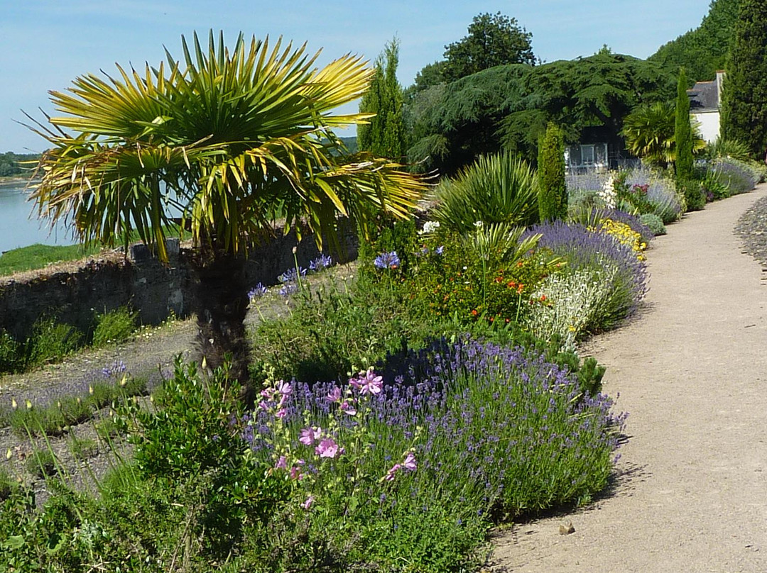 Le Jardin Méditerranéen景点图片