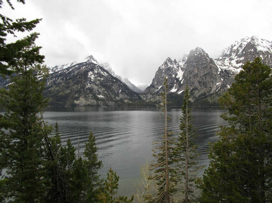 Jenny Lake Overlook景点图片