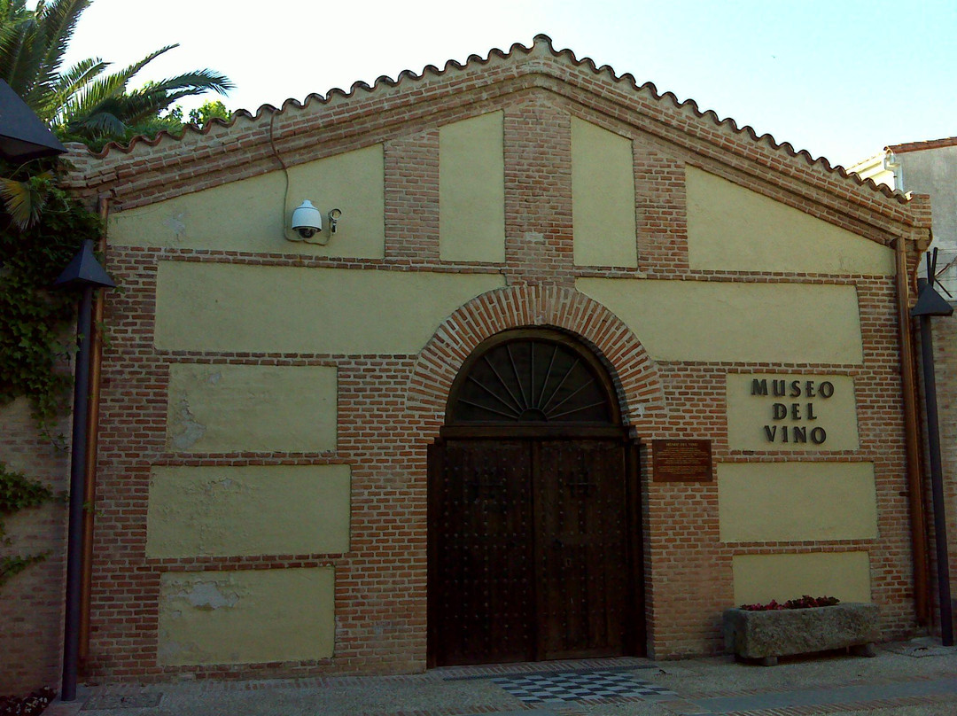 Museo Del Vino景点图片