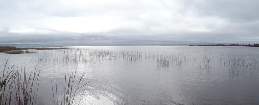 BioIBERA Tourism-Colonia Carlos Pellegrini必去景点