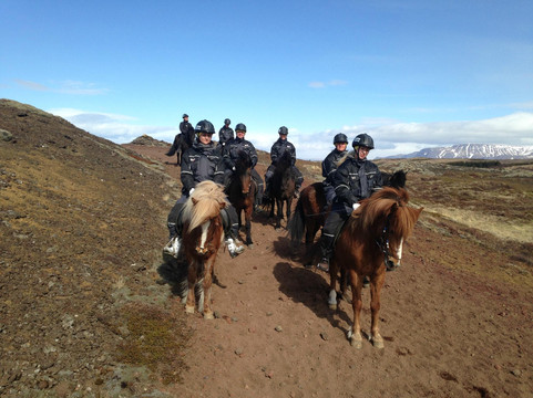 Reykjavik Riding Center-雷克雅未克必去景点