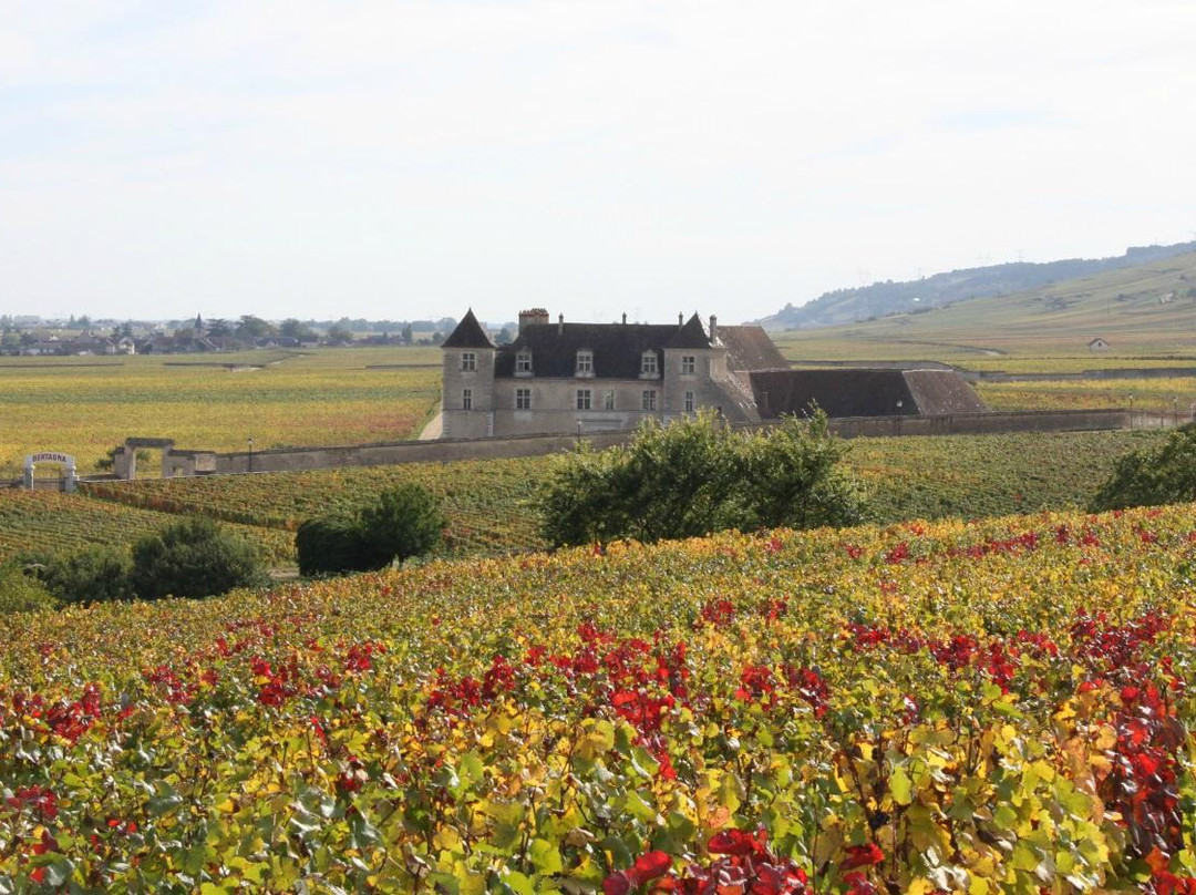 Divine Bourgogne Tours-博讷必去景点
