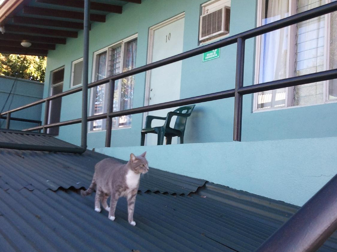 Hotel Daniel Zamora主图