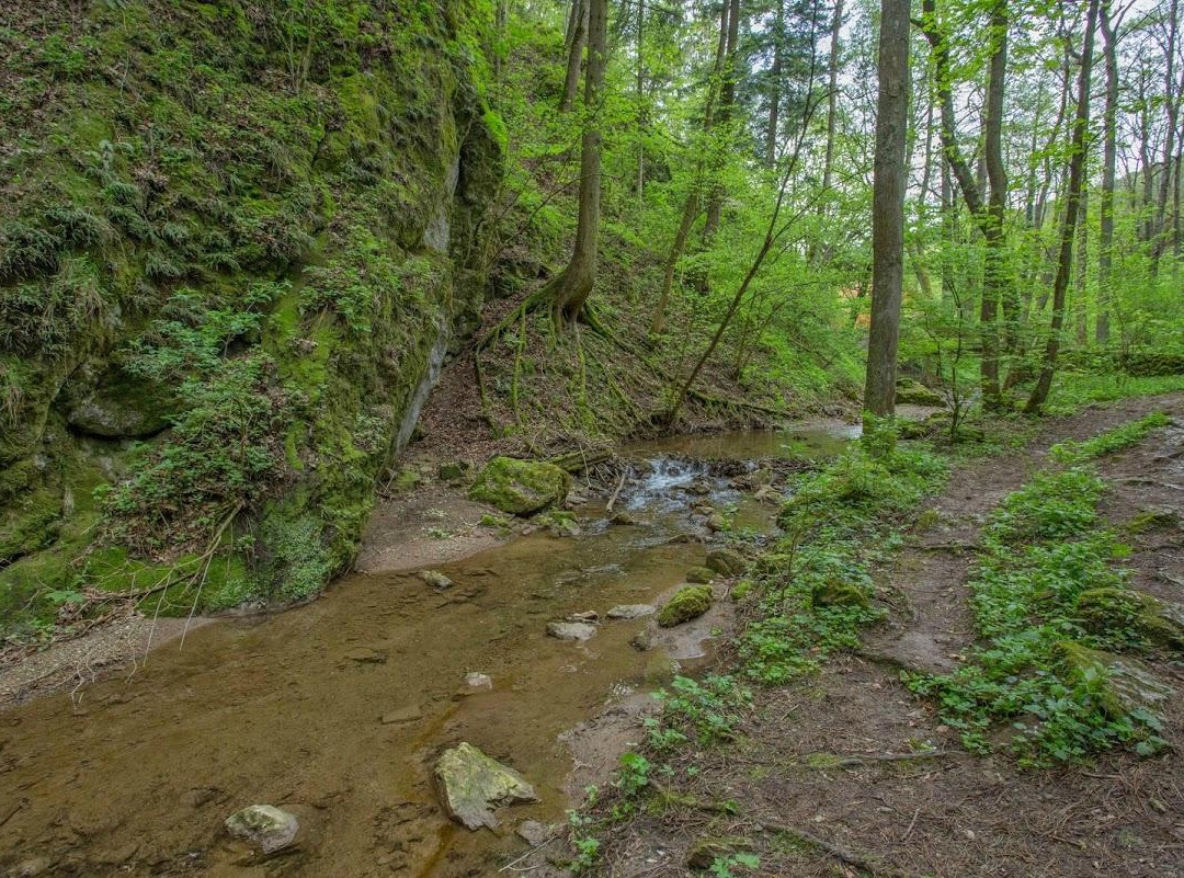 Johannesbachklamm-Wurflach必去景点