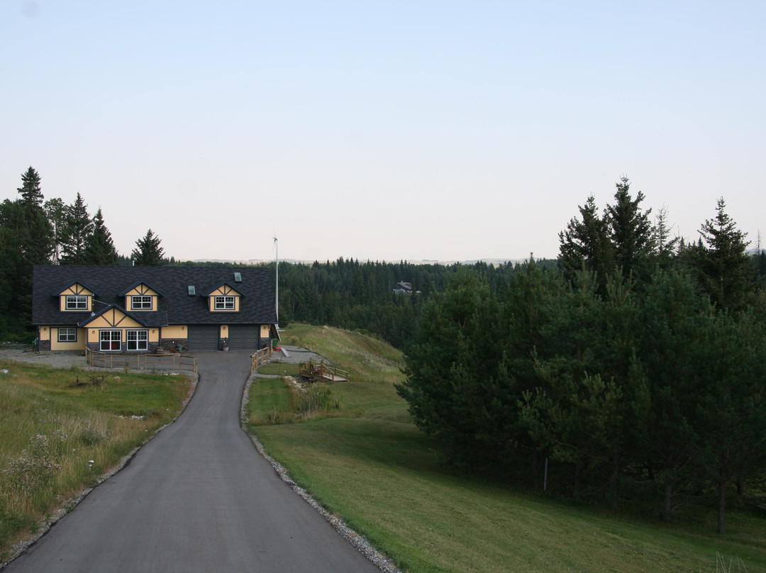 Windflower Bed & Breakfast主图