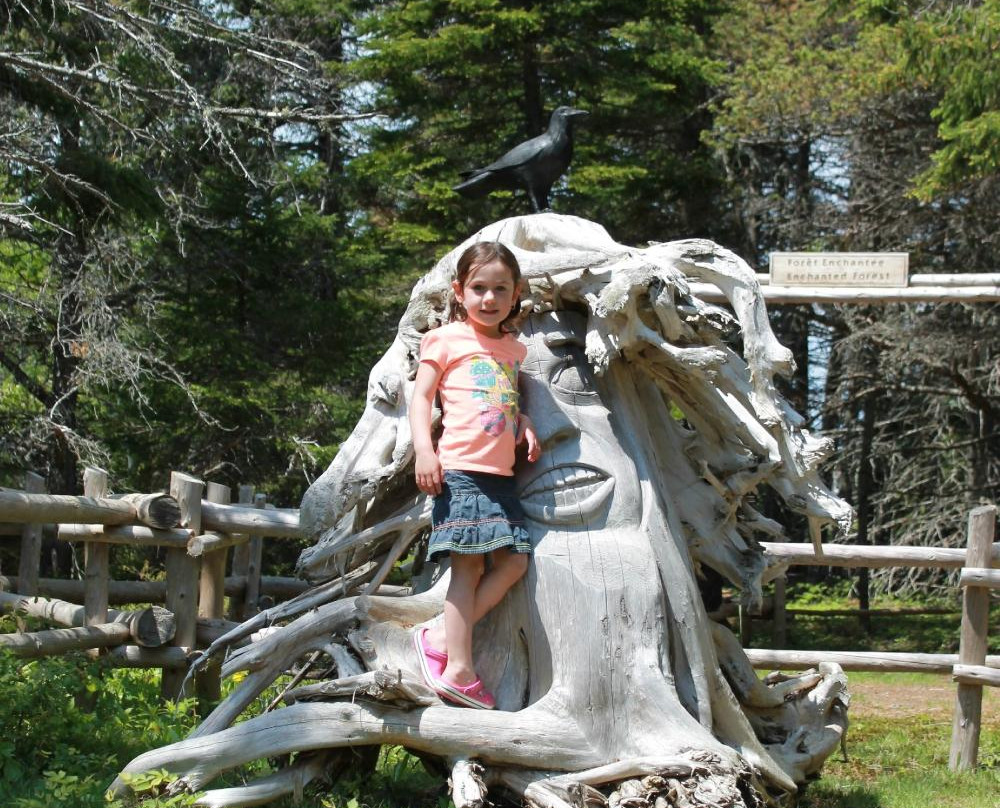 Sentier Magique de Sculpture景点图片