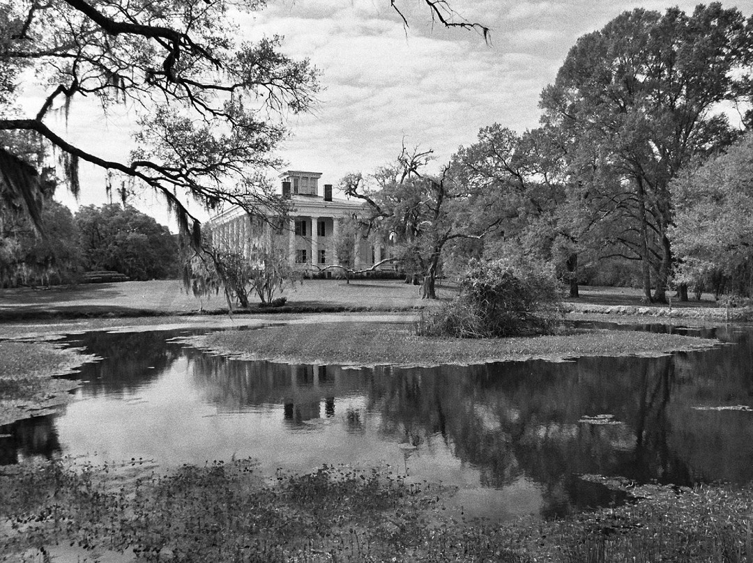 Greenwood Plantation景点图片