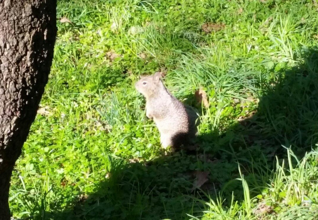 Bush's Pasture Park-塞勒姆必去景点