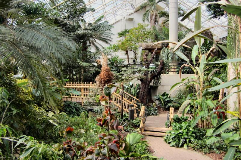 Foellinger-Freimann Botanical Conservatory-韦恩堡必去景点