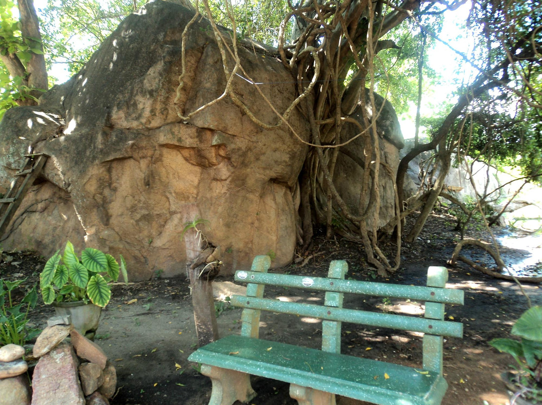 Hotel Peacock Residence主图