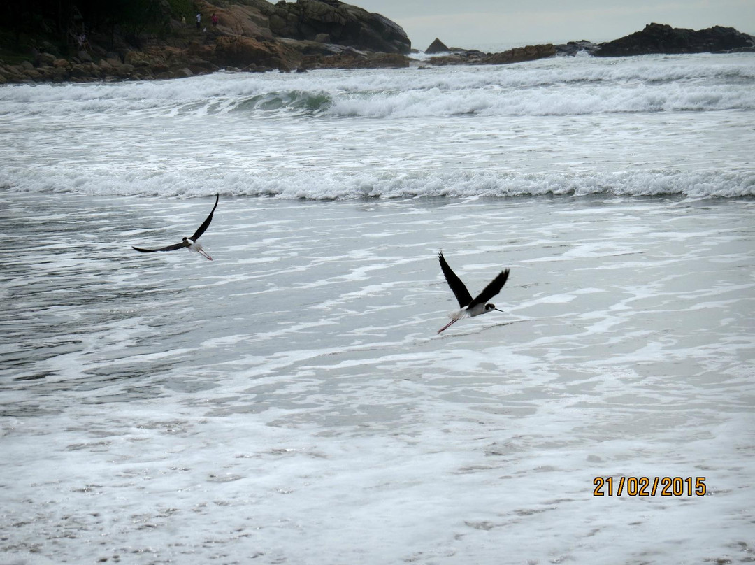 Porto Beach (Imbituba do Norte)-Imbituba必去景点