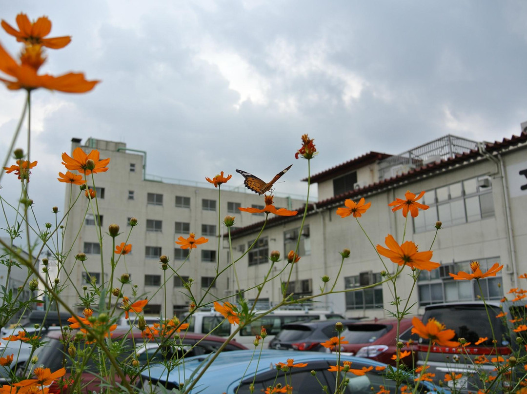 武藏村山市旅游攻略图片