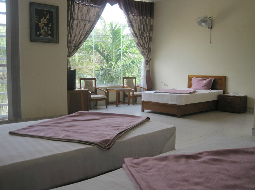 Violet Hotel