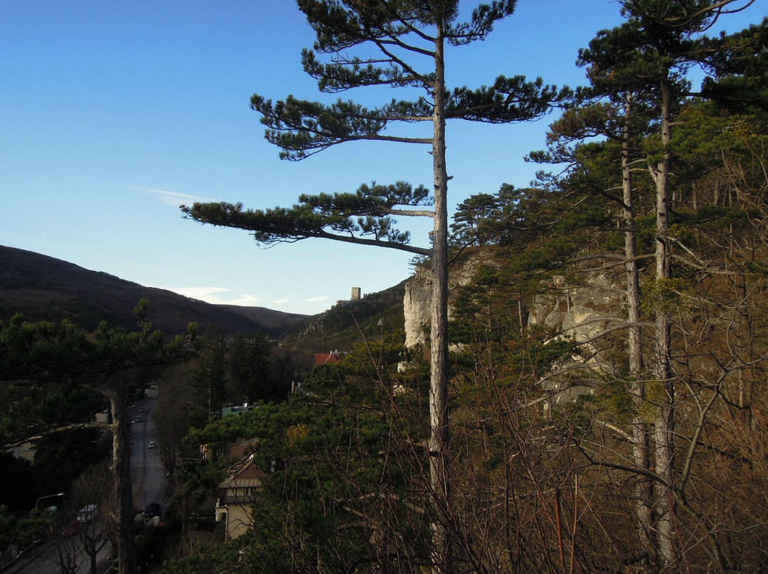 Burgruine Rauhenstein Castle-巴敦必去景点