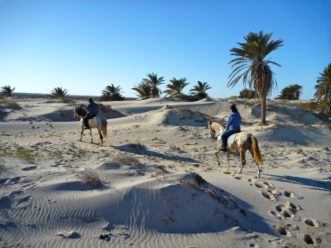 Mezraya Ranch-杰尔巴岛必去景点
