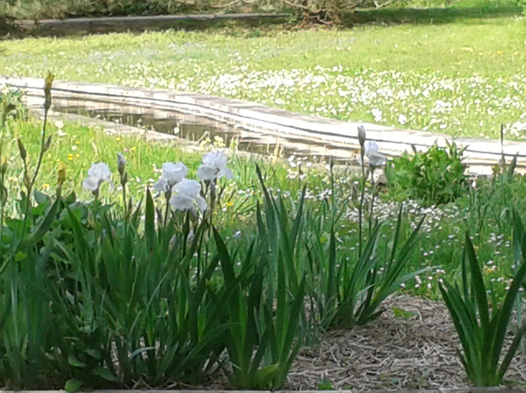 Parc départemental de la Boucle景点图片