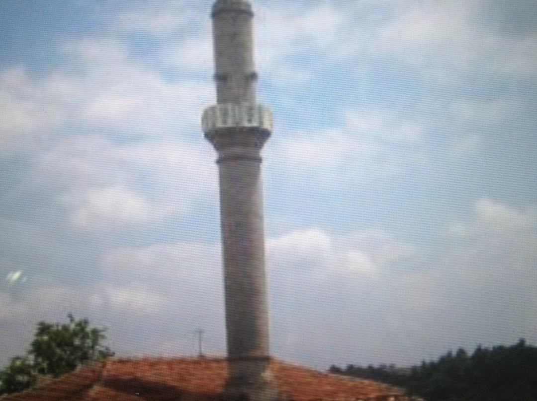 Turnalar Koyu Cami