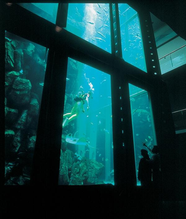 城崎水族馆-丰冈市必去景点