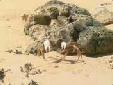 Carolina Beach-巴东必去景点