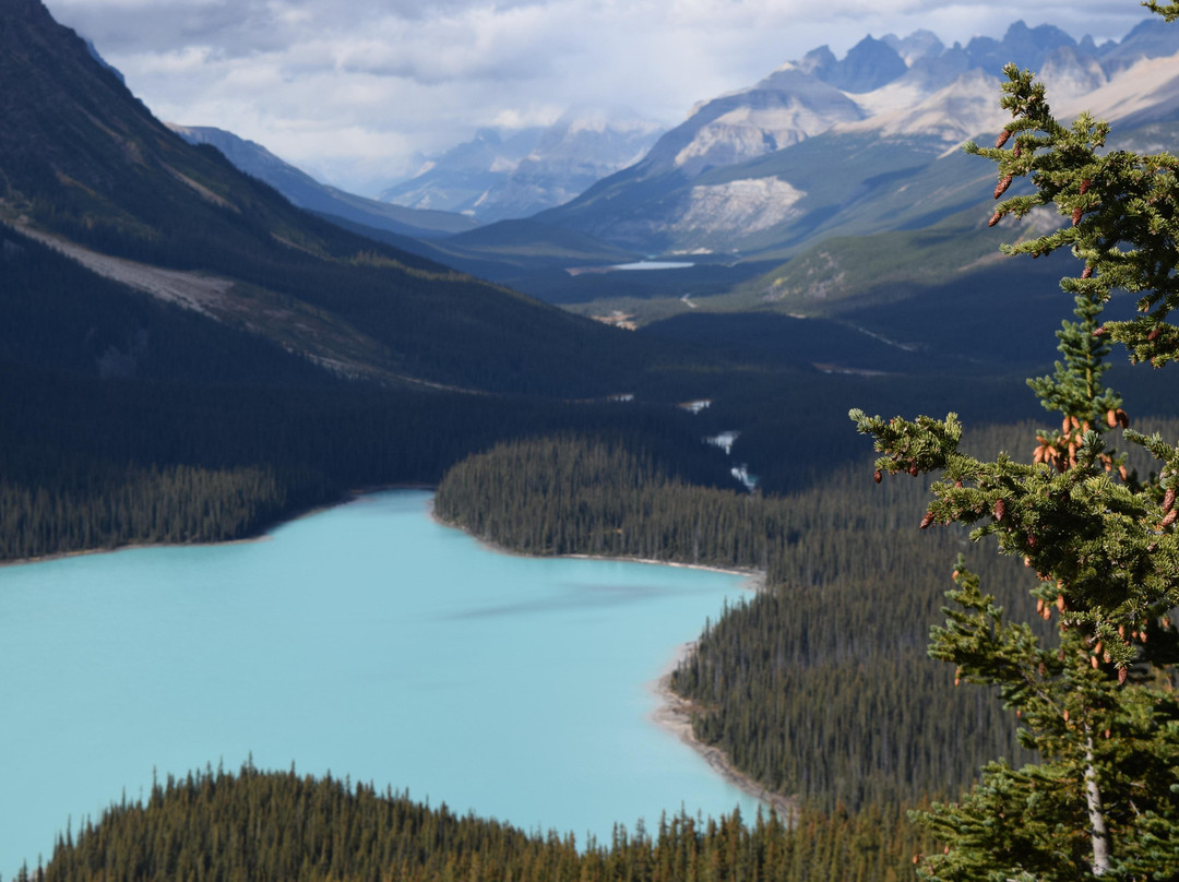 Bow Summit-班夫国家公园必去景点