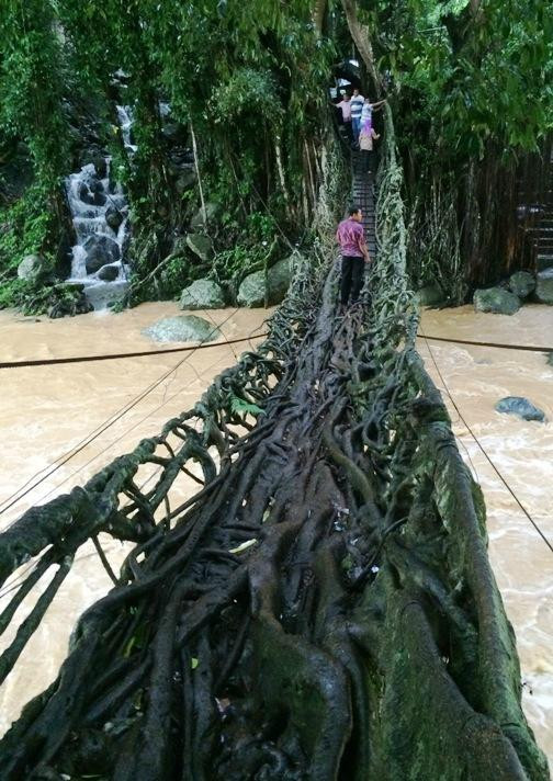 Bayang Root Bridge-South Pesisir必去景点