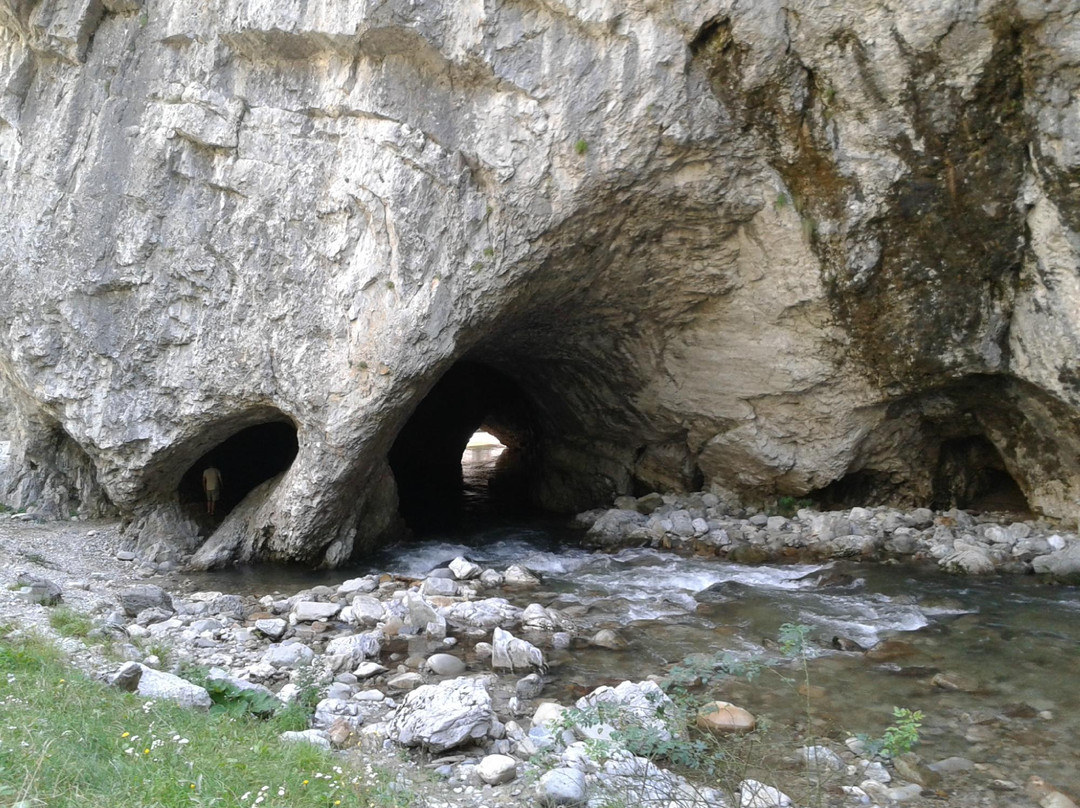 Cheile Sohodolului景点图片