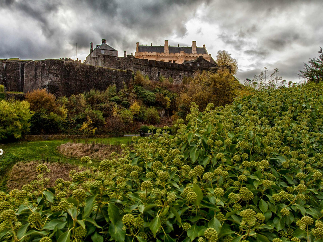 Stirling Photography Tours-斯特灵必去景点