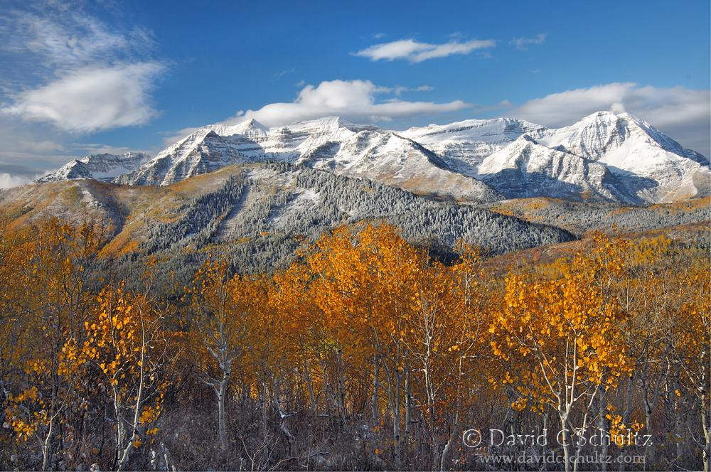 Wasatch Photo Tours - Tours and Lessons-帕克城必去景点