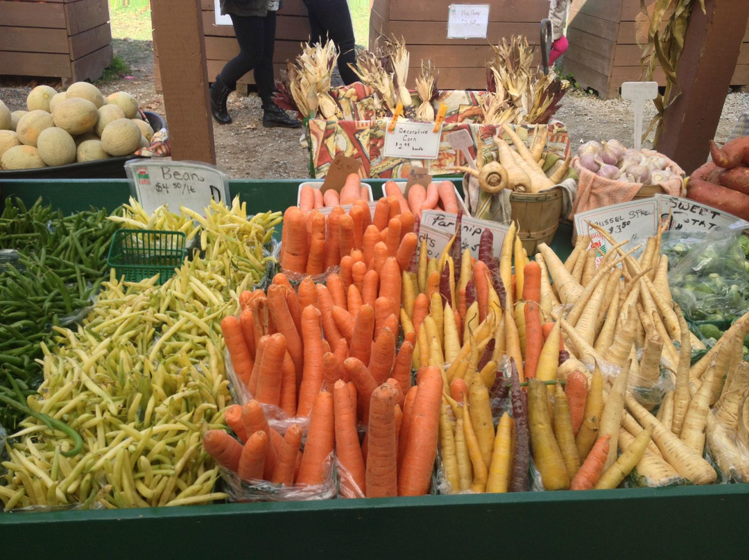 Linton's Farm Market-奥沙瓦必去景点
