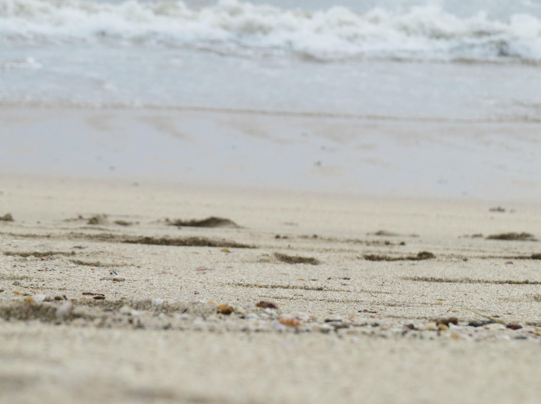 Kondivali Beach-Shrivardhan必去景点