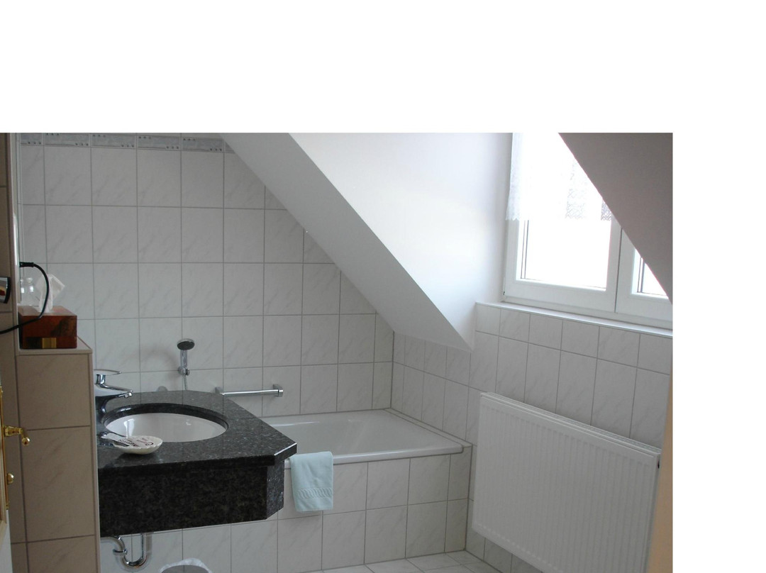 Hotel Zum Adler主图