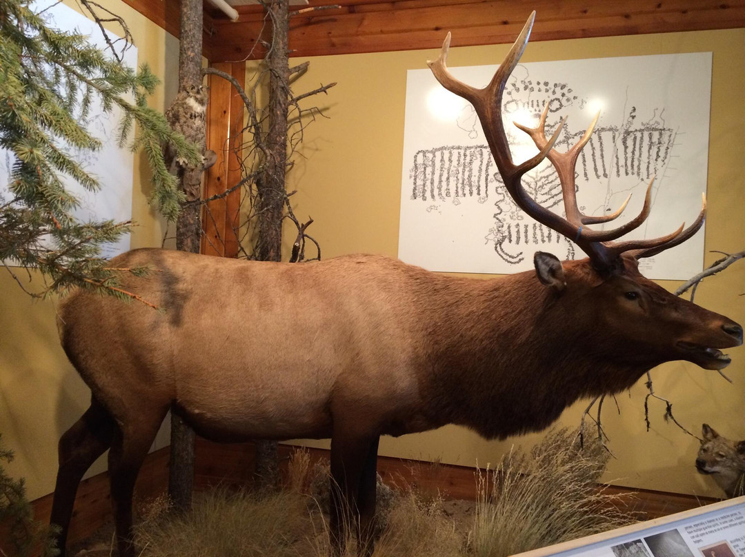 Jackson Hole Historical Society & Museum-杰克逊必去景点