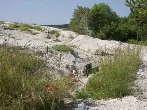 Massiges旅游攻略图片