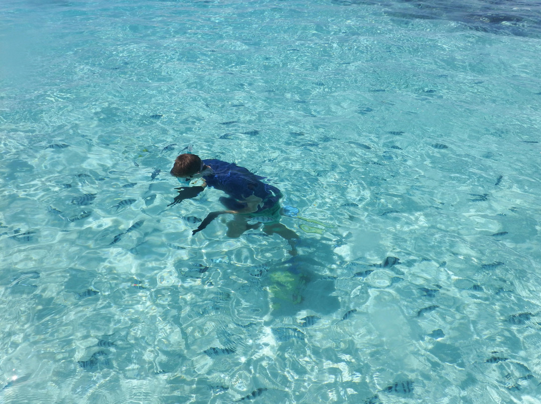 Aitutaki Lagoon-艾图塔基必去景点