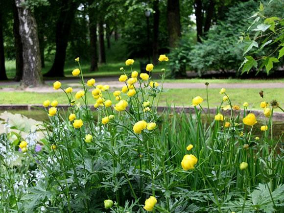 The Palace Park-奥斯陆必去景点