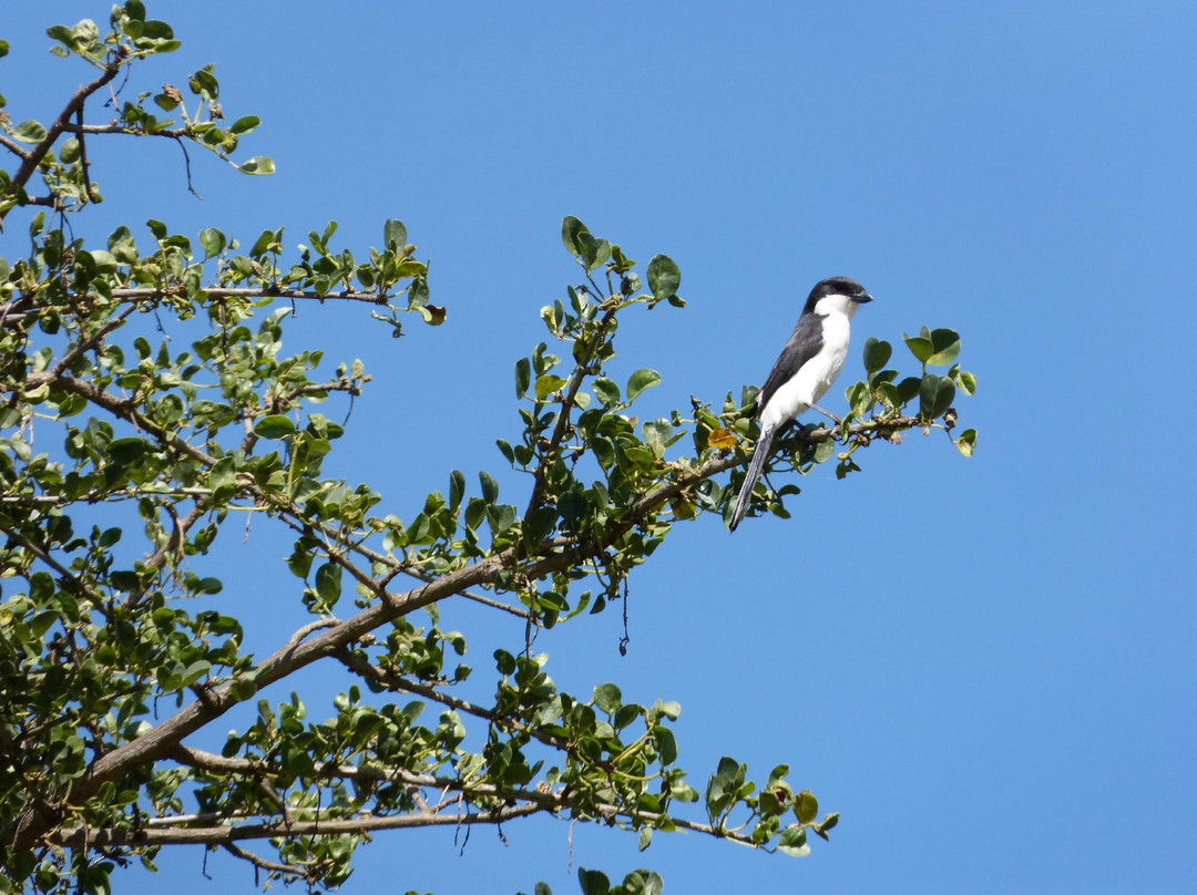Machakos旅游景点-Maanzoni Sanctuary