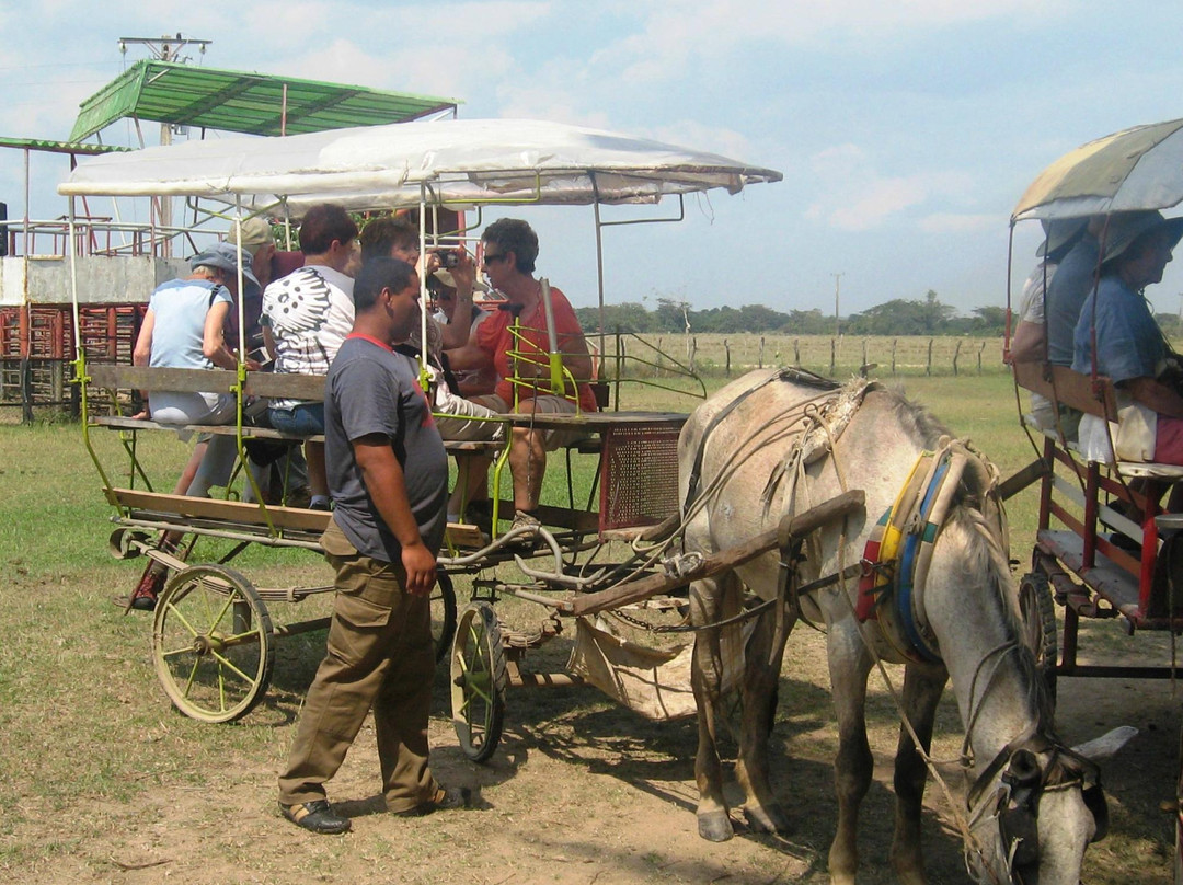 Rancho King Touristic Farm景点图片