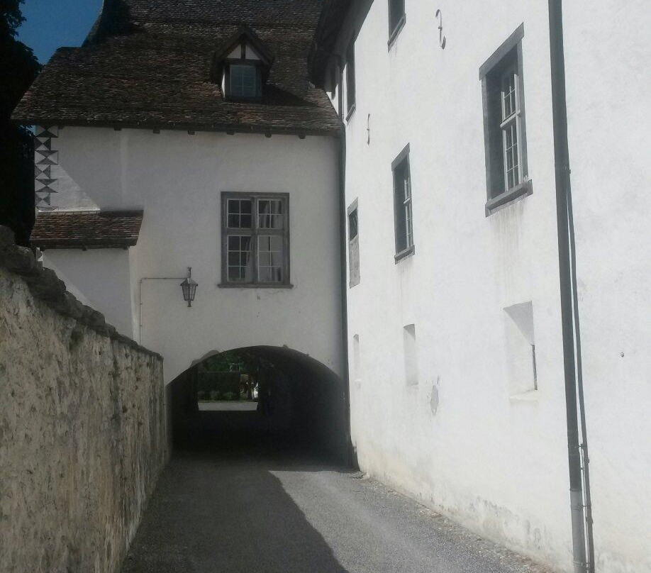 Castle Haldenstein景点图片