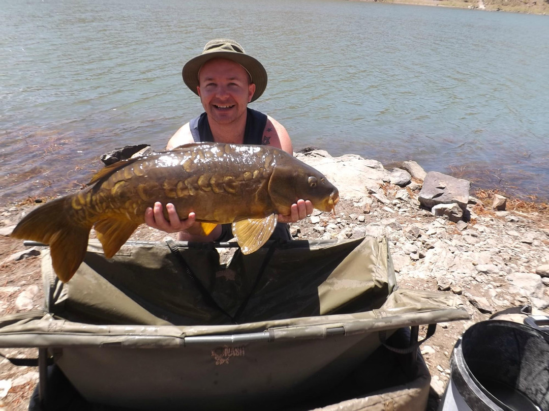 Carp Gran Canaria-San Bartolome de Tirajana必去景点