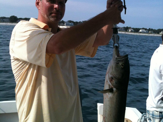 Diamond Pass Outfitters-南波特兰必去景点