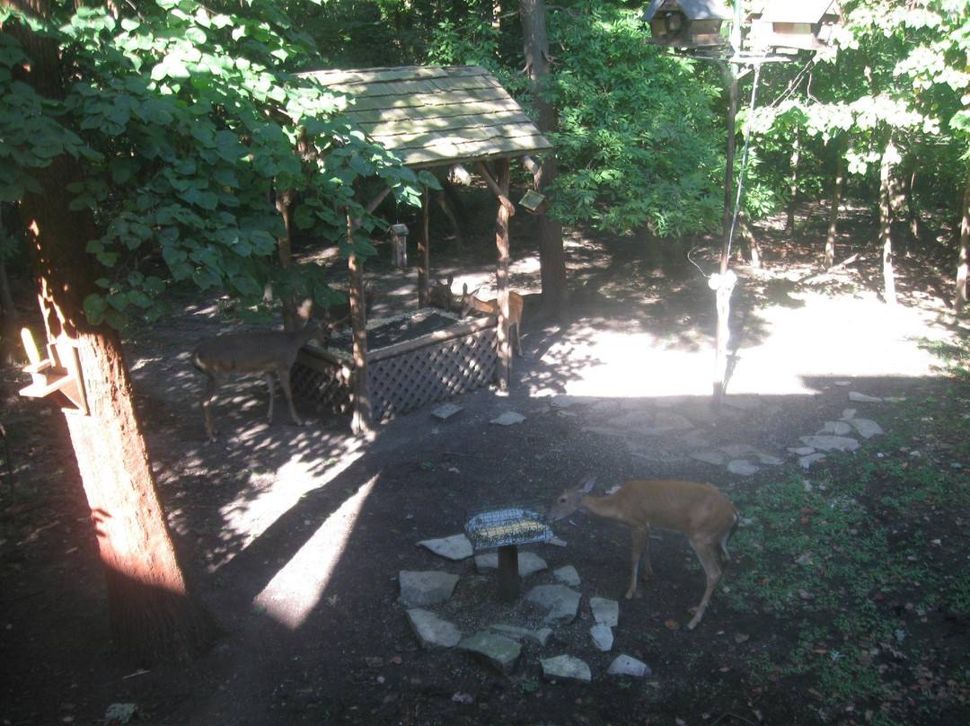 Powder Valley Conservation Nature Center景点图片