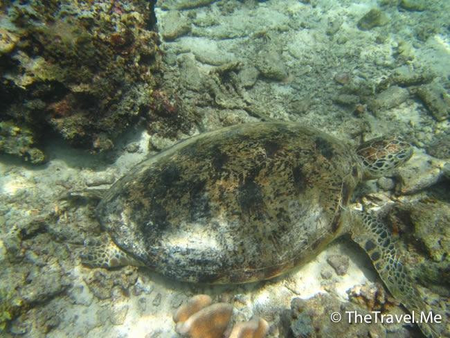 仙本那国家公园-仙本那必去景点