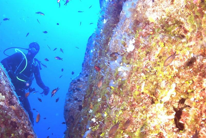 Muciara Diving Center景点图片